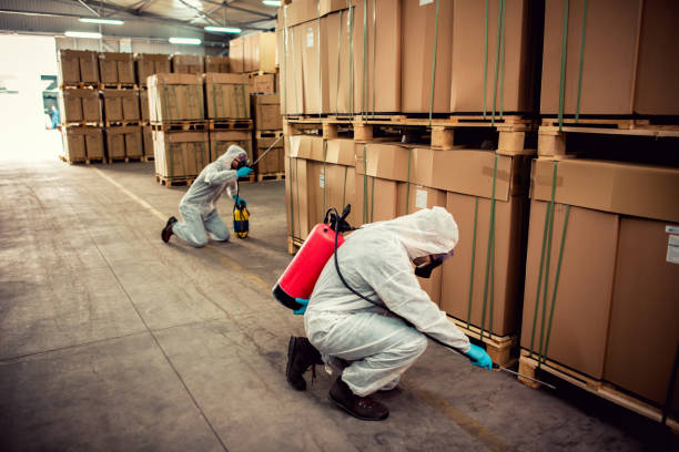Best Residential Pest Control  in Big River, CA