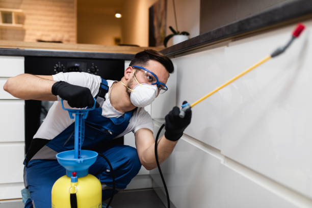 Best Rat Extermination Near Me  in Big River, CA