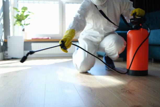 Best Pest Removal Services  in Big River, CA