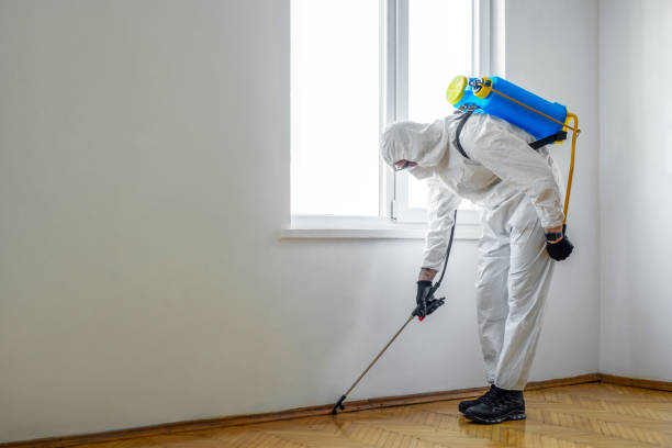 Best Affordable Pest Control Services  in Big River, CA