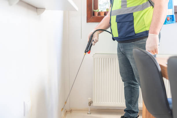 Best Pest Control Near Me  in Big River, CA