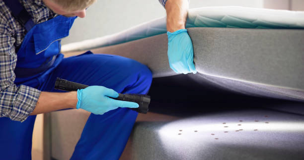 Best Best Pest Control Companies  in Big River, CA