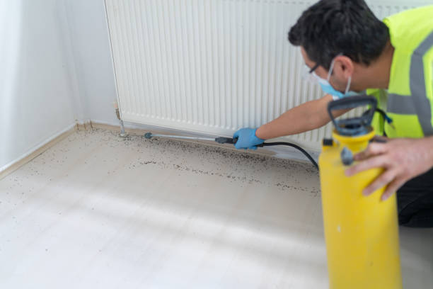 Best Ant Control Services  in Big River, CA