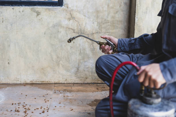 Best Mosquito Control Services  in Big River, CA